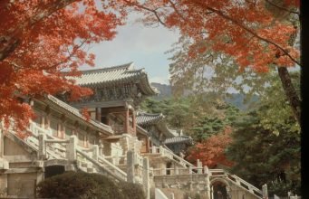 불국사의 과거와 미래 불국사