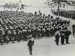 빼앗긴 들에도 봄은 오는가