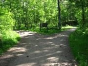 가지 않은 길, 그리고 가야 했던 길 가지 않은 길 두 갈래길